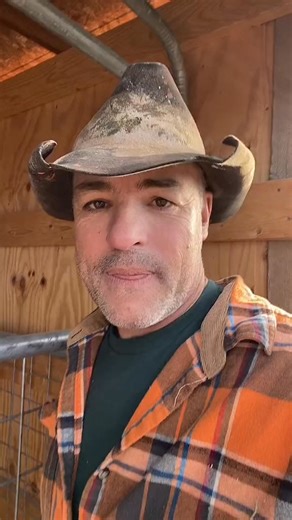 Moved Darcy to the Wild Stallion barn for the night. #trending, #bonkey #fyps, #fyp, #viral, #cowboymax #virals, #foryoupage #trends, #foryou, #trend, #miniaturedonkey #babydonkey | Boy max