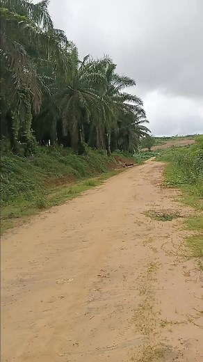 terrain titré et loti à ngombe par lendi passant par kotto bloc nous sommes ici à 1 kilomètres de la chefferie nous avons 3800 m2 en bordure de route Prix :9000 le m2 Contact wathsap : 695 33 40 37/650 32 30 91 | Global Business House