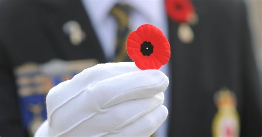 Poppies are back for Remembrance Day: Where to get a poppy and donate to veterans in Canada
