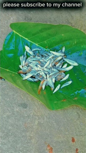 Small Fish patrapoda 🐟🐠 | Fish Recipe ||#shorts #viral #trending #recipe