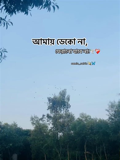 Nobel song hit difference. সিরিয়াস নিয়েন না কেউ! 🙏🥲 #foryoupage #fyp #nobel #song #or