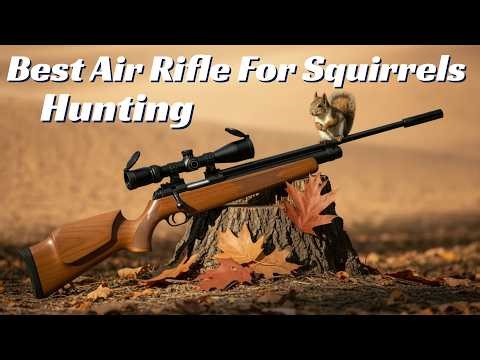 Best Air Rifle For Squirrels Hunting – An Unbiased Review