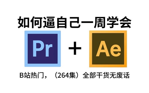 【PR教程 AE教程】五一假期不要去盲目自学了，专为小白量身录制的PR AE入门全套视频，新手看完信手拈来，拿走不谢，允许白嫖！基础 练习