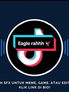 Eagle Rahhh Sound Effects for Video Editing