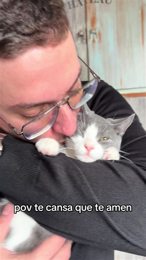 ya está entregado a recibir besos 24/7 #donato #bebedonato #gatitostiktok