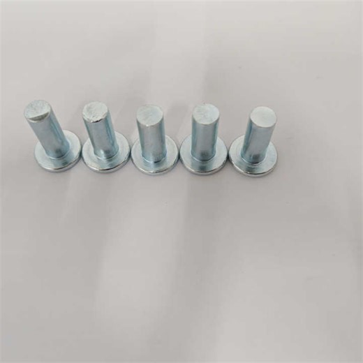 Steel Galvanized Flat Head Solid Rivets for Brake and Clutch Linings