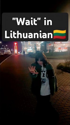 This is how "Wait" sounds in Lithuanian 🤣🇱🇹 #lithuaniaviral #lithuania #viral #wait #meme #funny