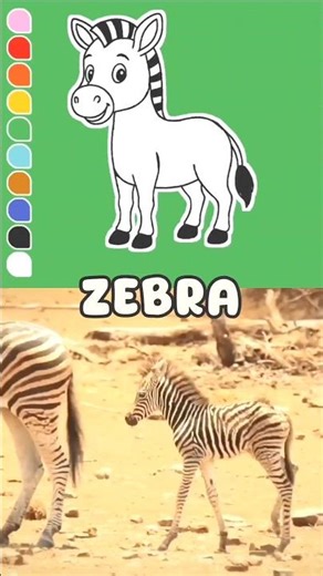 Learn to Draw Animals for Kids 🦓🐢🦩🐒🦀 | Easy Drawing #drawingforkids #animalart #howtodraw