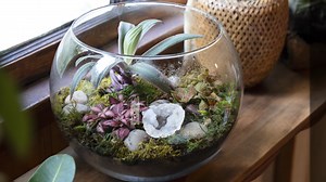 Looking for a sweet and simple gift idea for your plant-loving friends and family? Try making a personalized terrarium! Just pick a glass container you like—the bigger it is, the more little plants you can add. It’s a fun way to share your love for plants with the people you care about! | Proven Winners