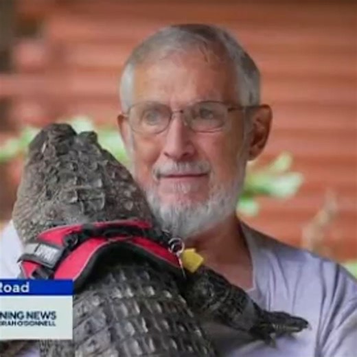 86K views · 1.1K reactions | This Story Is Heartbreaking... | Penguinz0 | Facebook