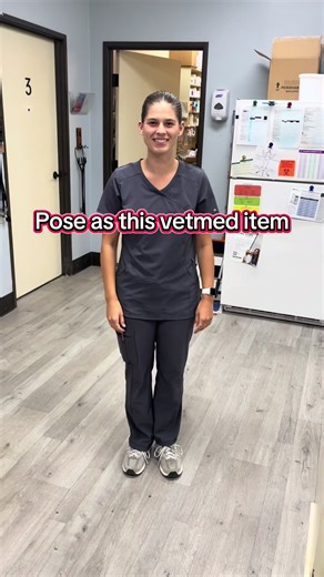 Monday Fun with Veterinary Challenges