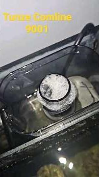 Quick Catch Up: Tunze Comline DOC 9001 Protein Skimmer on the Aquatop 28 gallon All In One (AIO)