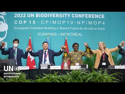 #cop15 "It's time to roll up our sleeves" UNEP's ED Inger Andersen calls for action #biodiversity