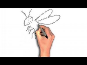“How to Draw a Flying Wasp: Step-by-Step Guide”