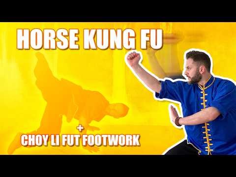 Horse Kung Fu + Choy Li Fut Foot Work 馬形拳