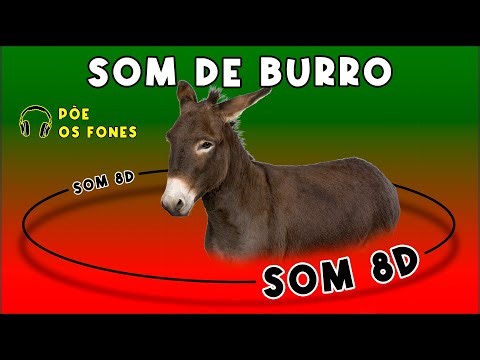 SOM DE BURRO - SOM DE ANIMAIS - Efeito Sonoro
