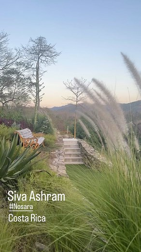 5.8K views · 123 reactions | Sunset time at Siva Ashram. Nosara, Costa Rica. @sivaashram Music, “Grateful” by @ritawilson “Gratitude and appreciation are the key virtues for a better life. They are the spell that is cast to dissolve hatred, hurt and sadness, the medicine which heals subjective states of mind, restoring self-respect, confidence and security.” ~ Gurudeva” | Dandapani | Facebook