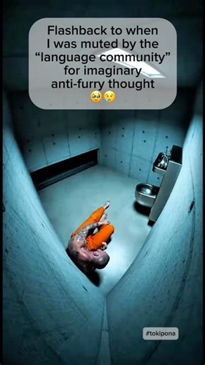 Post Toki Pona Stress Disorder 🥹😢