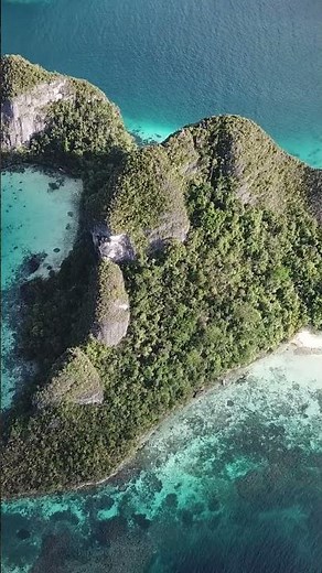 Your next diving holiday → Raja Ampat 🇮🇩