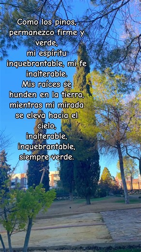 Permanecer firme en Dios! Confiemos que Dios hará todo aquello que hemos estado esperano🙏 Baruc ata Adonai #barucataadonai #raicesfirme #pino #motivacion