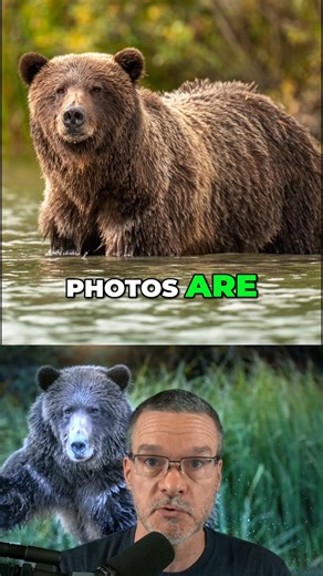 Tim Shields on Instagram: "How would you photograph this tree? Get your FREE camera settings cheat sheets. Visit timsphotos.com"