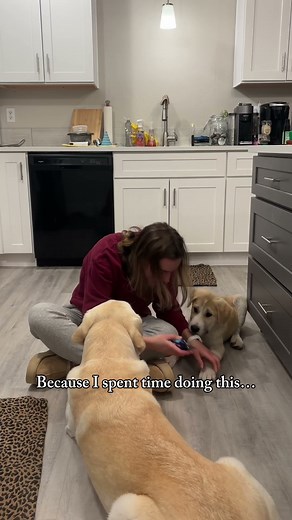 Dogs getting their nails clipped #dog #dogmom #dogs #puppy #asmr #doglove #dogtraining