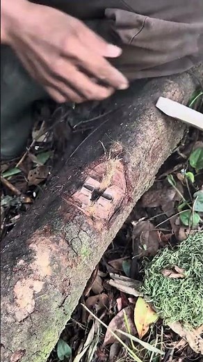 Incredible Survival Method: How to Start a Fire Using Only Wood and Friction