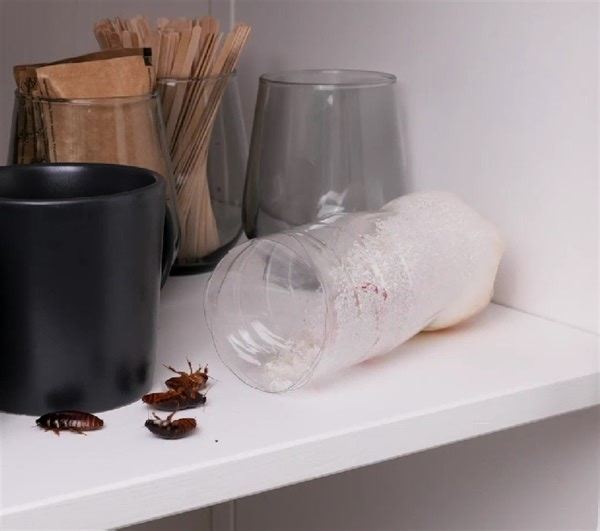 156K views · 385 reactions | Bug Off! DIY Pest Traps to Keep Your Home Critter-Free | 5-Minute Crafts USA | Facebook