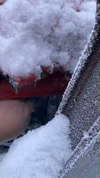 Zetor 6011 Cold Start -16*c