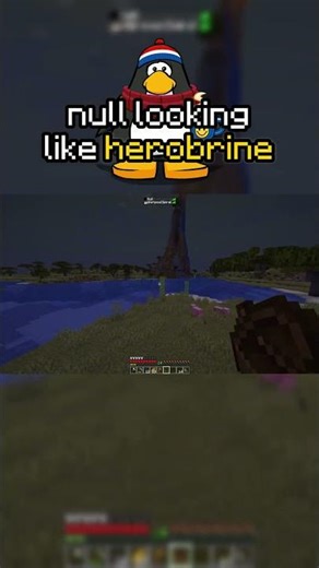null is starting to look like minecraft herobrine