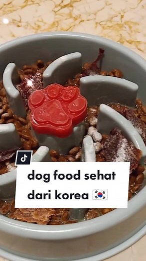 Rekomendasi Makanan Anjing Sehat dan Murah