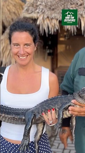 Exploring Aligators Florida's Everglades National Park #evergladesnationalpark #aligators #travel