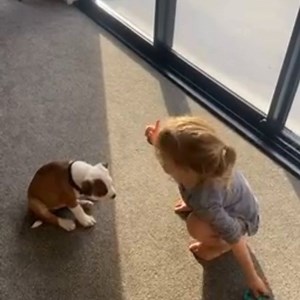 3.9K views · 21 reactions | What makes our online training school so...