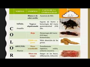 MUESTRA DE HECES 2