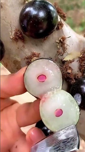 Best Fruit In The World🥶