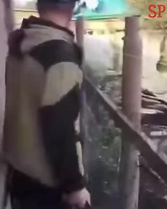 Electrocution Compilation