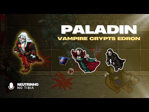 TIBIA - VAMPIRE CRYPT EDRON | PALADIN LEVEL 150+