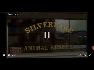 Bolt (2008) Disney Channel Intro (6/14/25)