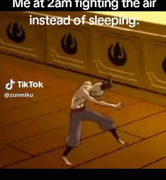 Funny Zuko Fighting Air Meme Compilation