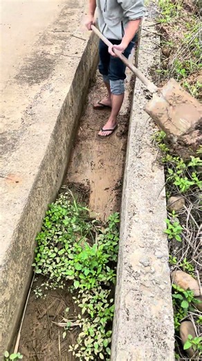 ⛏️🌿 Clearing Weeds and Mud Buildup from Concrete Drainage Channels #shorts