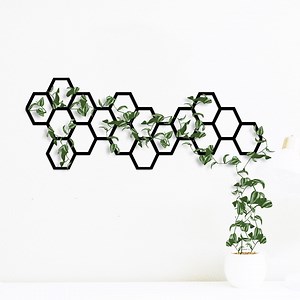 Metal Trellis Planter, Wall Plant Trellis, Garden Wall Trellis, Indoor Plant Trellis, Honeycomb Wall Planter Trellis, Metal Wall Trellis - Etsy