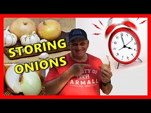BEST LONG TERM ONION STORAGE METHOD