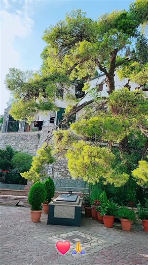 John Blacking στο TikTok