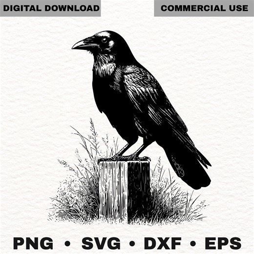 Raven SVG Cut File Crow Bird Silhouette Vector for Cricut Laser CNC (digital Download) - Etsy