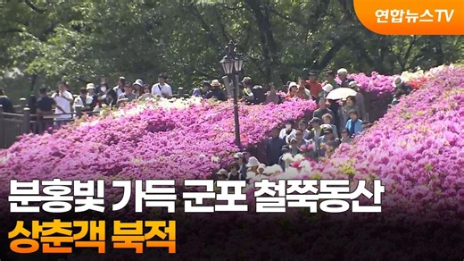 분홍빛 가득 군포 철쭉동산…상춘객 북적 / 연합뉴스TV (YonhapnewsTV)
