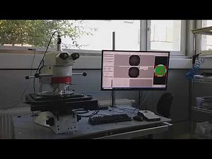 Promicron AOI wafer inspection, diced wafer on bluetape filmframe, Deep Learning AOI, Leica DM8000