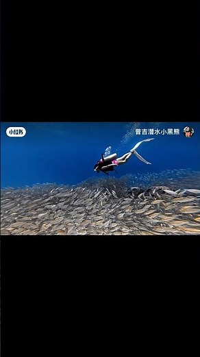 EPIC SCUBA DIVE! 🦈 Swimming Inside a GIANT Fish Tornado 🌪️ | Best Ocean Adventure Footage Ever!