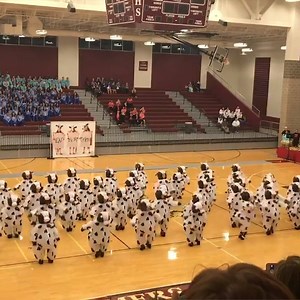 F-A-I-L-S! Fails, Fails are the best! | This is Happening Daily