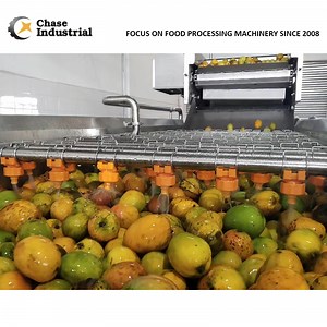 [Hot Item] Mango Puree Making Processing Line with No Preservative