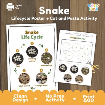 Snake Life Cycle Chart & Cut and Paste Activity | Reptile Biology Worksheet
